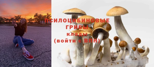 мескалин Аркадак