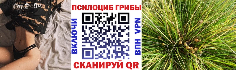 Галлюциногенные грибы Cubensis  блэк спрут вход  Армянск 